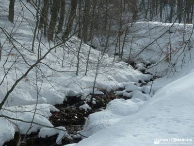 Rioja Alta-Yuso,Suso-Ezcaray-Nájera;excursiones por madrid chorro de navafria dehesas de cercedilla